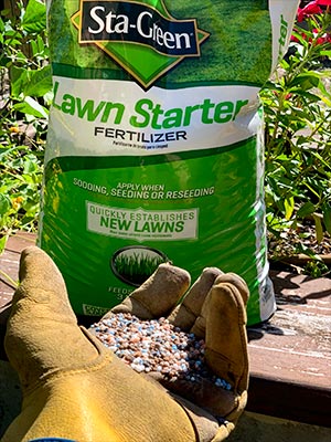 Gloved hand holding sta-green lawn starter fertilizer against a garden backdrop